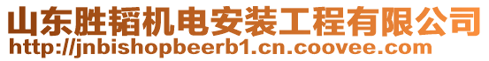 山東勝韜機(jī)電安裝工程有限公司