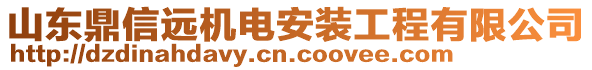 山東鼎信遠(yuǎn)機(jī)電安裝工程有限公司