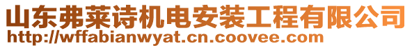 山東弗萊詩(shī)機(jī)電安裝工程有限公司