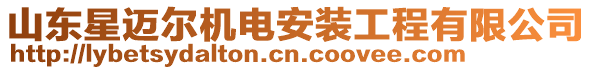 山東星邁爾機(jī)電安裝工程有限公司