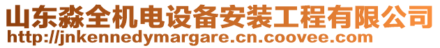 山東淼全機電設備安裝工程有限公司