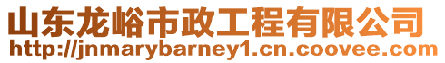山東龍峪市政工程有限公司