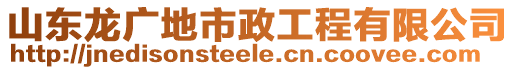 山东龙广地市政工程有限公司