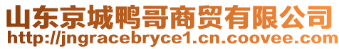 山東京城鴨哥商貿(mào)有限公司