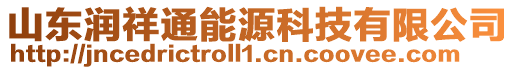 山東潤祥通能源科技有限公司