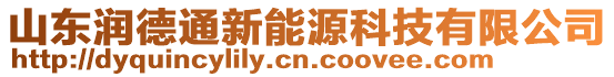 山東潤德通新能源科技有限公司