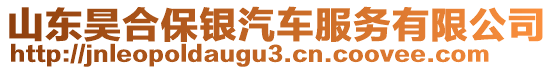 山東昊合保銀汽車服務(wù)有限公司