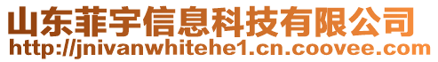 山東菲宇信息科技有限公司