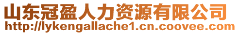 山東冠盈人力資源有限公司