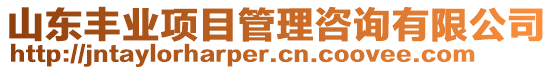 山東豐業(yè)項目管理咨詢有限公司