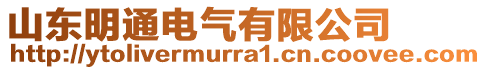 山东明通电气有限公司