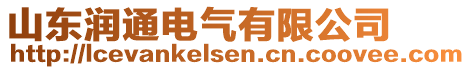 山东润通电气有限公司