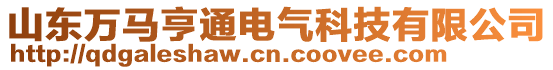 山东万马亨通电气科技有限公司