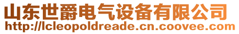 山東世爵電氣設(shè)備有限公司