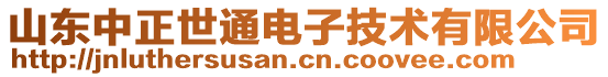 山東中正世通電子技術(shù)有限公司