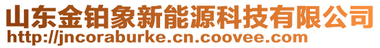 山東金鉑象新能源科技有限公司