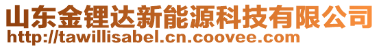 山東金鋰達新能源科技有限公司