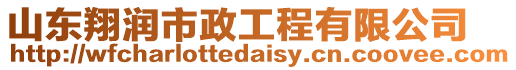 山東翔潤市政工程有限公司