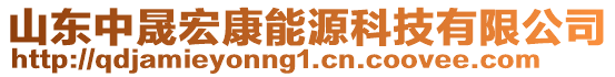 山東中晟宏康能源科技有限公司