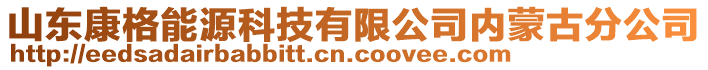 山東康格能源科技有限公司內(nèi)蒙古分公司