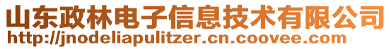 山東政林電子信息技術(shù)有限公司