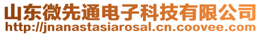 山東微先通電子科技有限公司