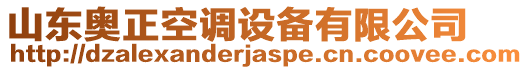 山東奧正空調(diào)設(shè)備有限公司