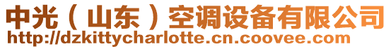 中光(山東)空調設備有限公司