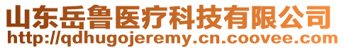 山東岳魯醫(yī)療科技有限公司