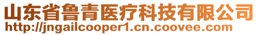 山東省魯青醫(yī)療科技有限公司