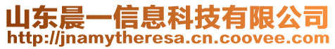 山東晨一信息科技有限公司