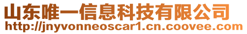 山東唯一信息科技有限公司