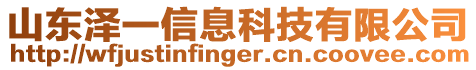 山東澤一信息科技有限公司