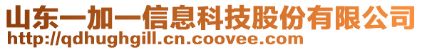 山東一加一信息科技股份有限公司