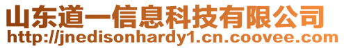 山東道一信息科技有限公司