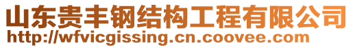 山東貴豐鋼結(jié)構(gòu)工程有限公司