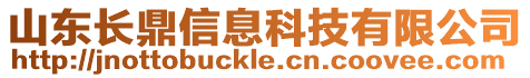 山東長鼎信息科技有限公司