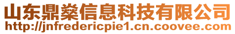 山東鼎燊信息科技有限公司