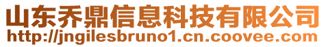 山東喬鼎信息科技有限公司