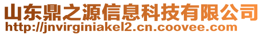 山東鼎之源信息科技有限公司