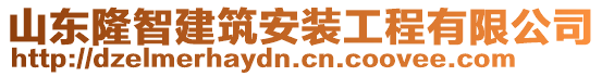 山東隆智建筑安裝工程有限公司