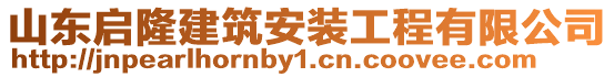 山東啟隆建筑安裝工程有限公司