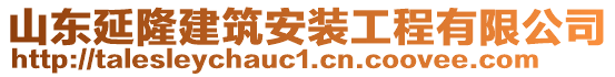 山東延隆建筑安裝工程有限公司