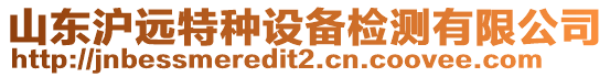 山東滬遠(yuǎn)特種設(shè)備檢測(cè)有限公司