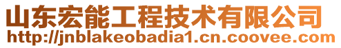 山東宏能工程技術(shù)有限公司