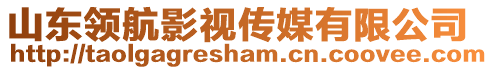 山東領(lǐng)航影視傳媒有限公司