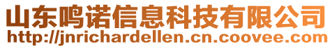 山東鳴諾信息科技有限公司