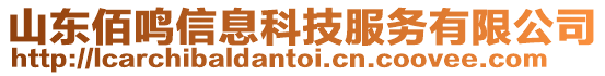 山東佰鳴信息科技服務有限公司