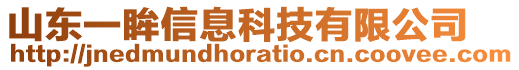 山東一眸信息科技有限公司