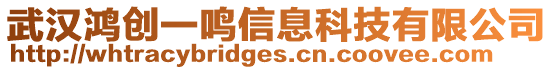 武漢鴻創(chuàng)一鳴信息科技有限公司